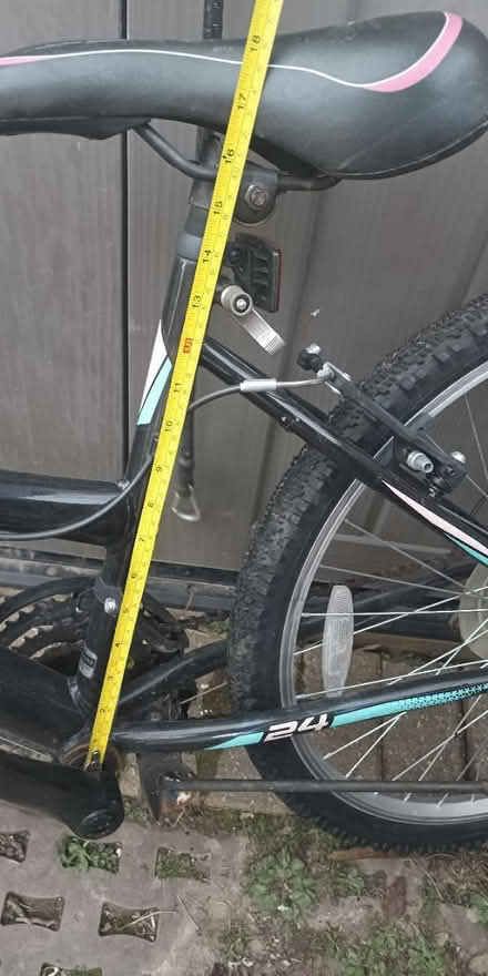 Photo of free 24"wheels bike (Maidenbower, Crawley RH10) #2