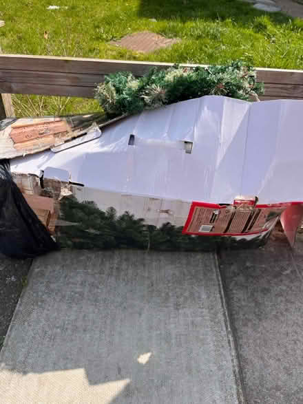 Photo of free Christmas tree (Bromley,Hayes) #1