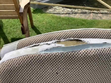 Photo of free Pair of garden chairs (Sutton Coldfield) #4