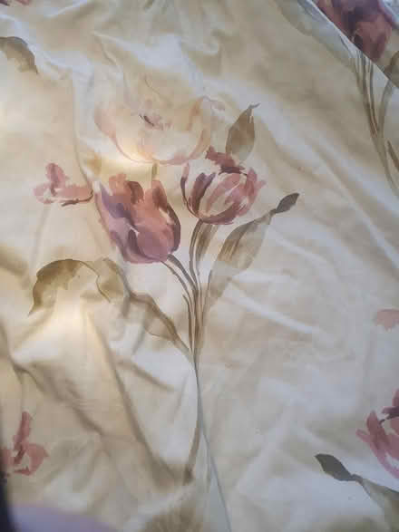 Photo of free Curtains (Gosforth ne3) #1