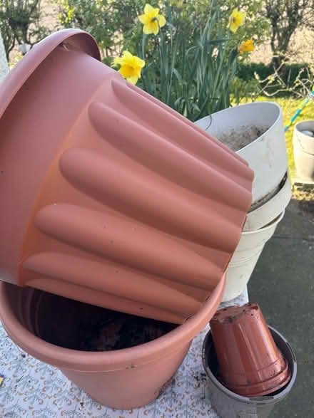 Photo of free Plant pots (Weighbridge FK9) #1