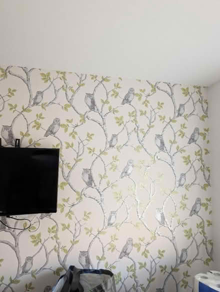 Photo of free Owl wallpaper (Sutton courtenay OX14) #2