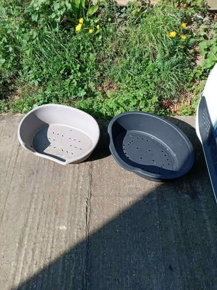Photo of free dog beds (Brays Grove CM18) #1