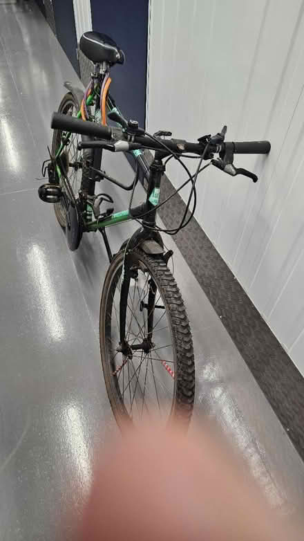Photo of free Adult's bicycle (CM15 Shenfield) #3
