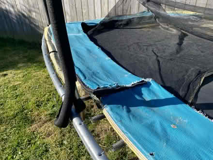 Photo of free Trampoline (Witton Gilbert DH7) #3