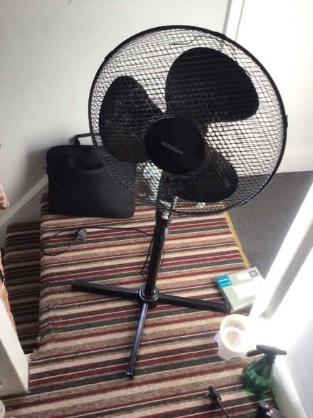 Photo of free Black standing fan (Clapham, Bedford) #1