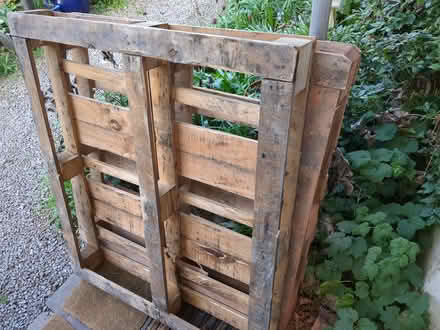 Photo of free Wooden pallets (Lansdown) #2