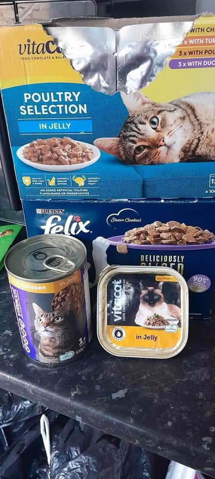 Photo of free Wet cat food (ST6) #1