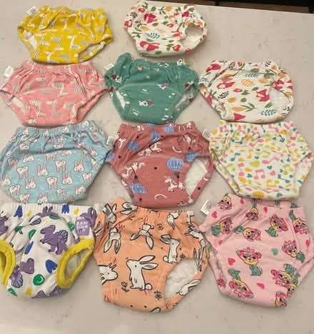 Photo of free Potty training pants (Teddington TW11) #1