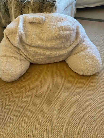 Photo of free Dunelm cuddle cushion (Widcombe, Bath) #1