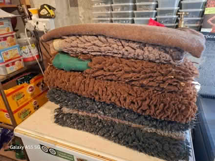 Photo of free Pet rugs (Threemilestone Truro) #1