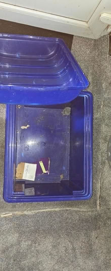 Photo of free Blue plastic trunk with removable lid (Arnold NG5) #3