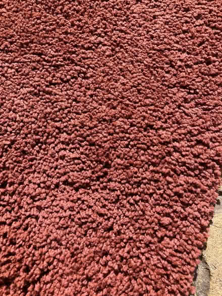 Photo of free Brown rug (Old Windsor SL4) #3