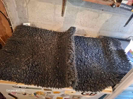 Photo of free Pet rugs (Threemilestone Truro) #3