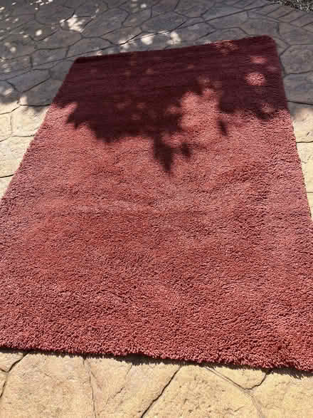 Photo of free Brown rug (Old Windsor SL4) #1