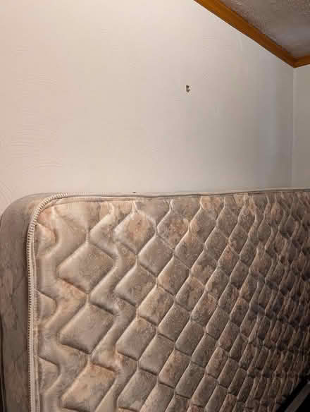 Photo of free Queen Mattress (Central BBL) #1