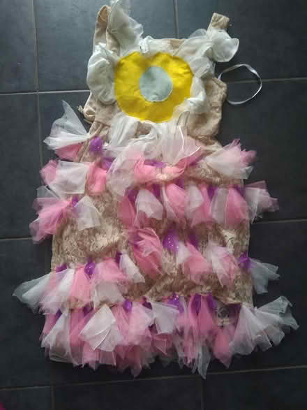 Photo of free Homemade Fancydress Dress (Leighton buzzard LU7) #1