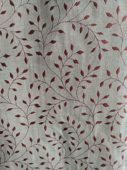Photo of free Pair of Lined Curtains (Plainmoor TQ1) #1