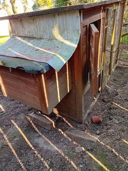 Photo of free Hen House & run (Darlington) #2