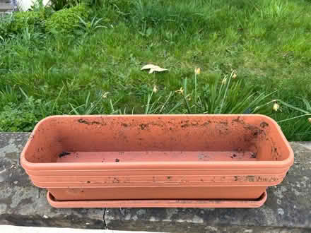 Photo of free Four Window boxes and trays (Surbiton KT6) #1