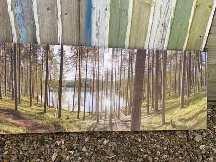 Photo of free Wide picture (PE8) #1
