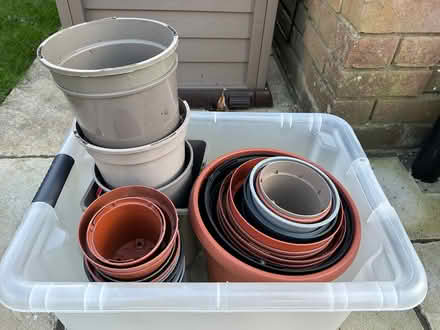 Photo of free Plant pots (CM1 Broomfield) #2