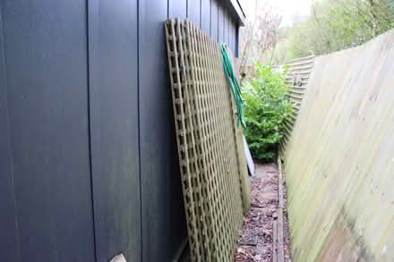 Photo of free Trellis Panels (six) (Fakenham NR21) #1