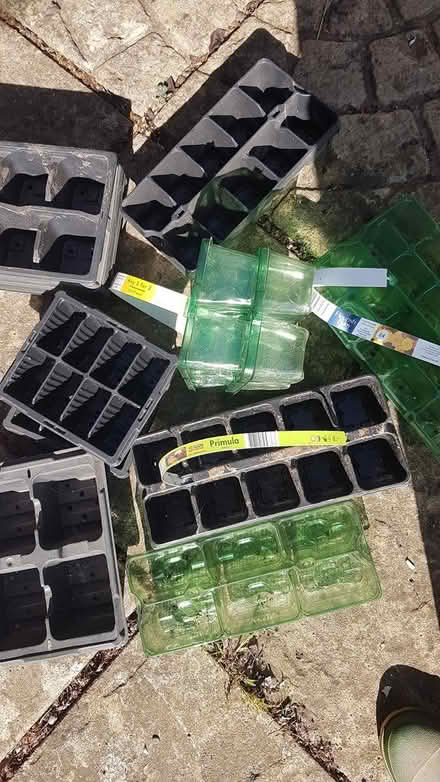 Photo of free Plant trays (Broughton Gifford, SN12) #1