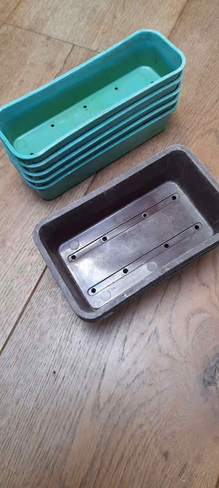 Photo of free Sturdy plastic seed trays (Thorpe St Andrew NR7) #1