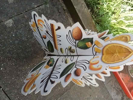 Photo of free Cardboard Decorative Display Features (Horfield BS7) #3