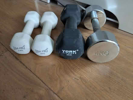 Photo of free Gym Dumbbells (Hammersmith) #1