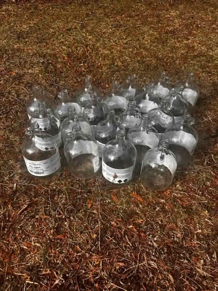 Photo of free Glass bottles (Erindale park) #1