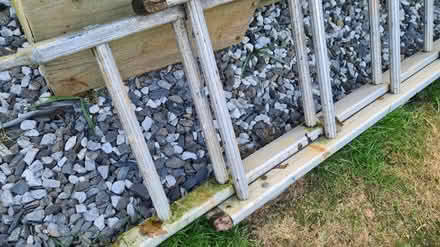 Photo of free Ladder (Scotstoun G14) #2