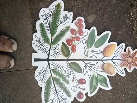 Photo of free Cardboard Decorative Display Features (Horfield BS7) #2