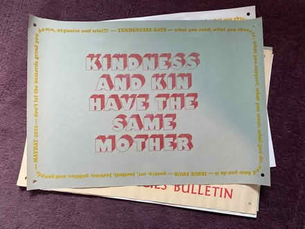 Photo of free Solidarity posters (Streatham SW16) #4