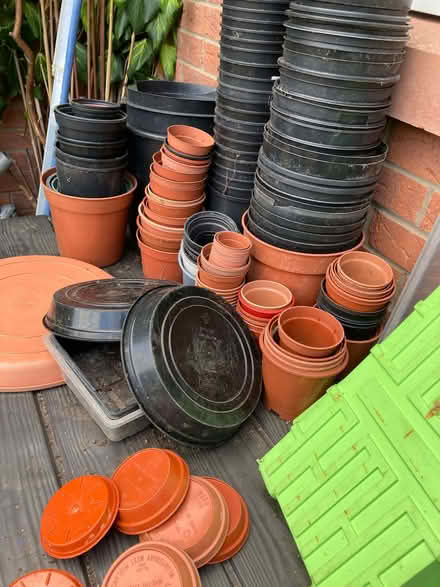 Photo of free Huge collection gardening flower pots, saucers & trays (Calthwaite CA11) #1