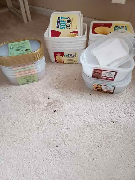 Photo of free Empty Ice Cream Containers x 15 (Sheffield - Northern General) #1