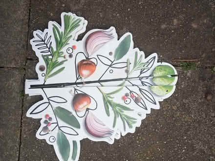 Photo of free Cardboard Decorative Display Features (Horfield BS7) #1