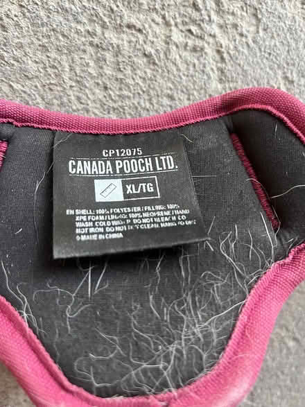 Photo of free Dog harness (Acton, MA) #3