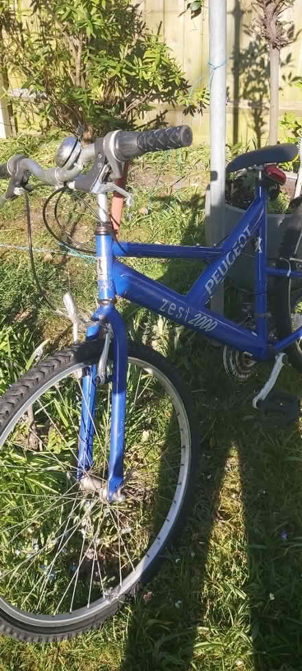 Photo of free Bike (Blackheath, SE13) #2