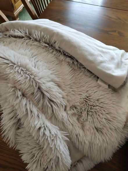 Photo of free Furry throw blanket (Odenton) #1