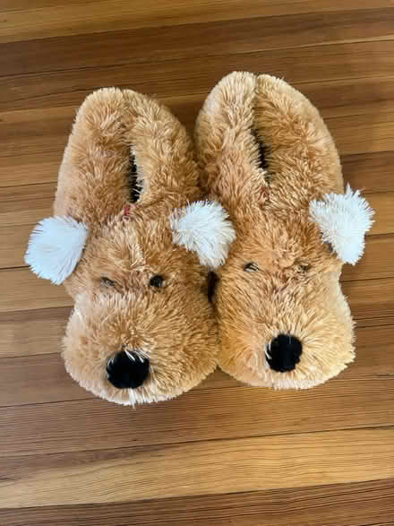Photo of free Slippers (Eastchester) #1