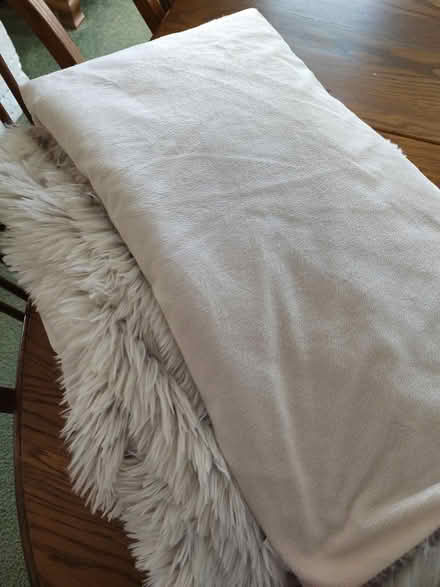 Photo of free Furry throw blanket (Odenton) #2