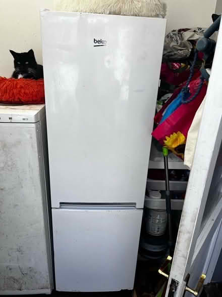 Photo of free Becko fridge freezer (Seaside BN22) #1