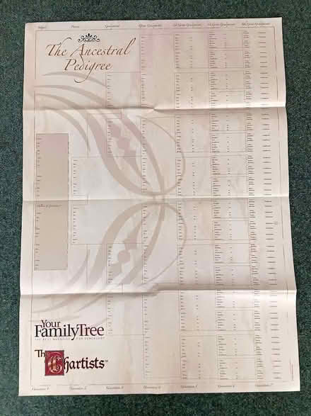 Photo of free A1 size Family Tree Chart (Chippenham SN15) #2