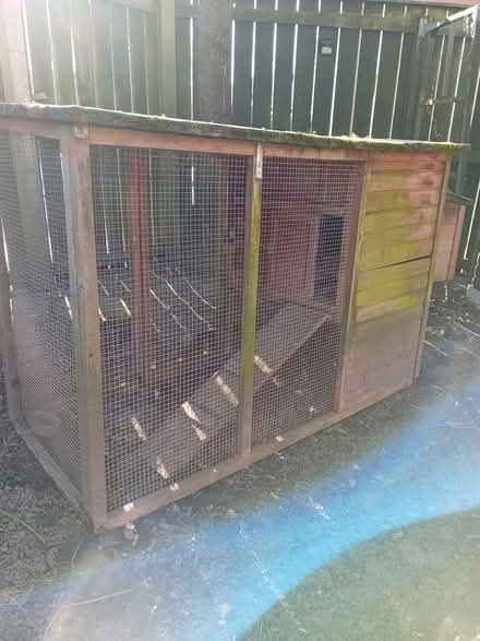 Photo of free Hen House & run (Darlington) #1