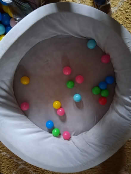 Photo of free Ball pit and balls (Coxheath ME17) #1