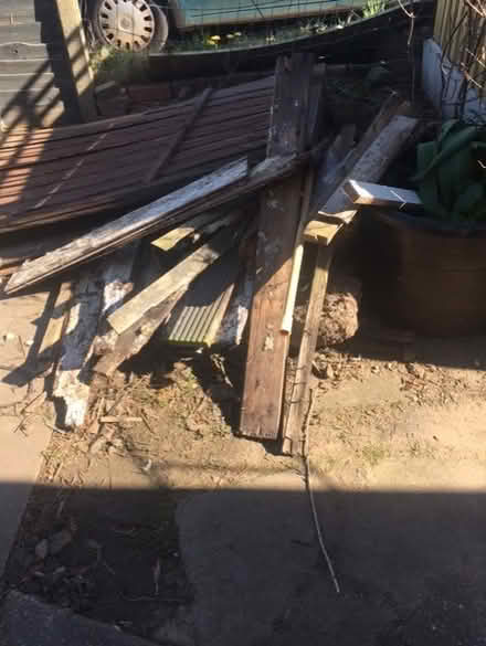 Photo of free wood (Wellington) #1