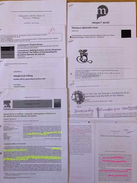 Photo of free Essays about walking (N5) #1
