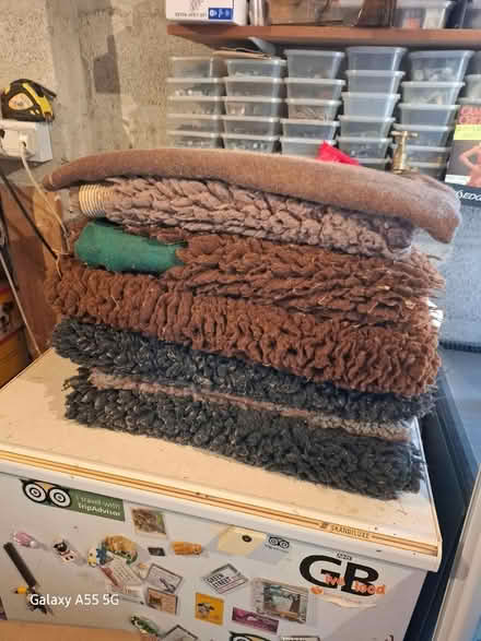 Photo of free Pet rugs (Threemilestone Truro) #2